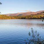 JS_151008_9757