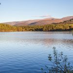 JS_151008_xs9757