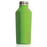 Root7 Corkcicle Canteen 9oz Lime