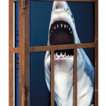 michael-muller-sharks-limited-edition