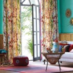 1-Harlequin-Amazilia