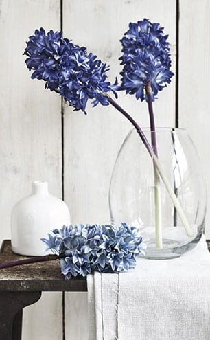 Dark blue hyacinth stems, £15 each, Neptune.