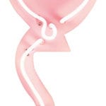 PP1_Gingersnap_1854487_LumosnapNeonPinkHeartBalloonWal.jpg
