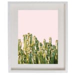 TS1_Artwow Cactus Blush framed art print by Uma Prabhakar Gokhale, £56, www.artwow.co