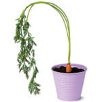 1Flying Tiger Zinc Pot, £1 from Flying Tiger stores nationwide gb.flyingtiger.com 3006187[3]