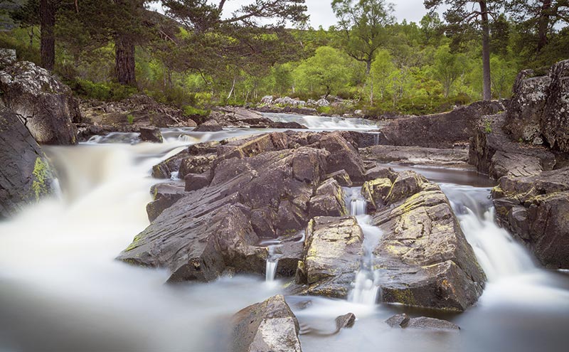 Glorious Glen Affric