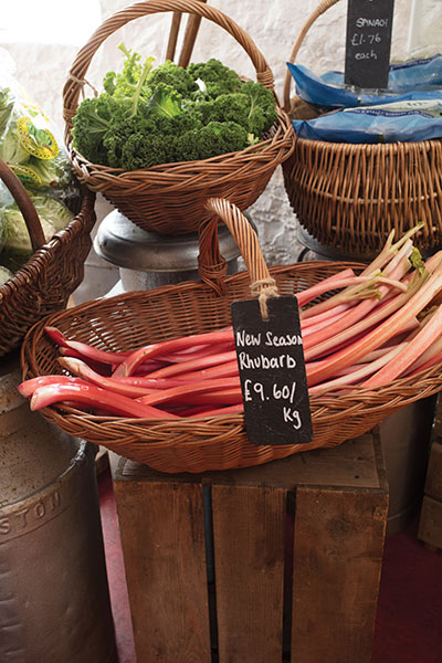 new-season rhubarb