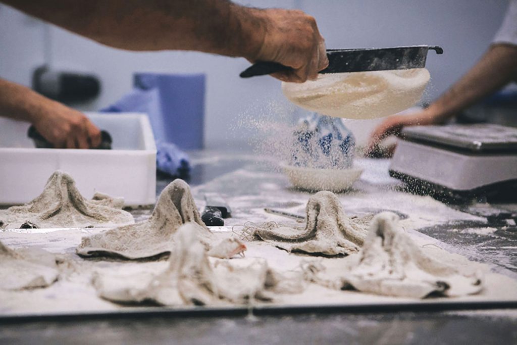 Flour-flies-in-the-kitchen