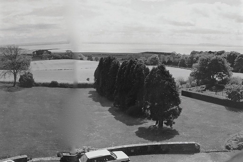 The garden as it looked in 1991, with its ill-fated cypress trees