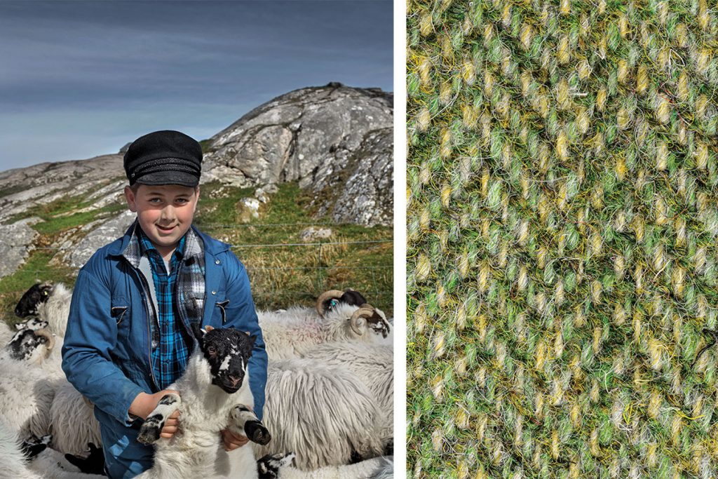 boy-with-sheep-and-harris-tweed-sample