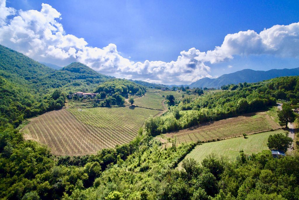 fields-and-hills-against-blue-sky