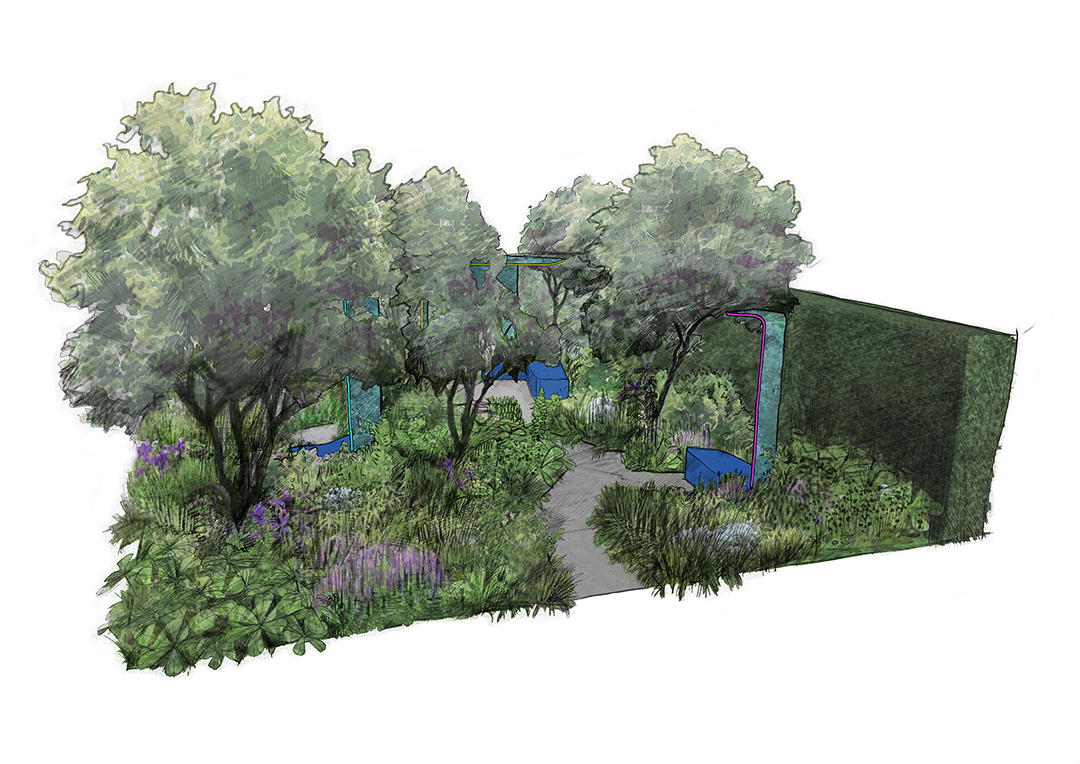 A sketch of the proposed layout for the garden at the RHS Chelsea Flower Show