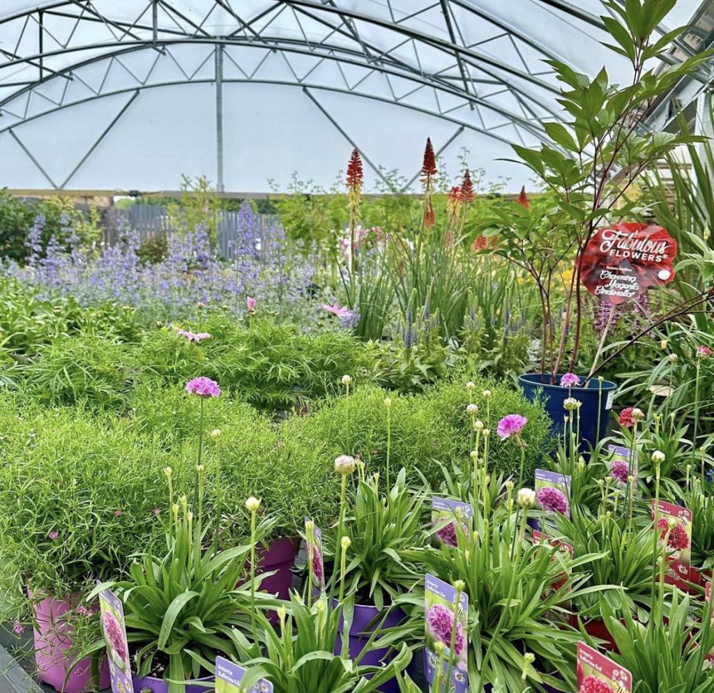 Discover 19 of the best garden centres in Scotland 2023