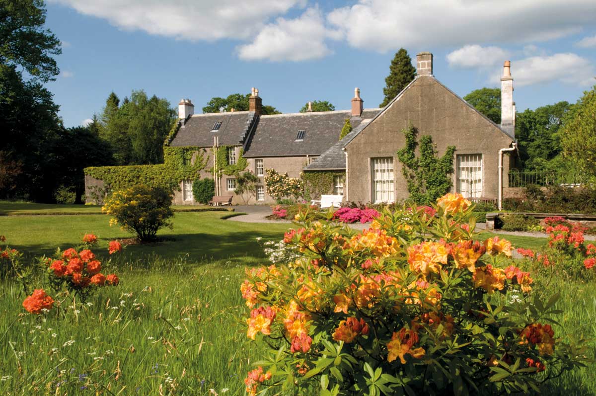 Scottish garden with orange plants in the foreground