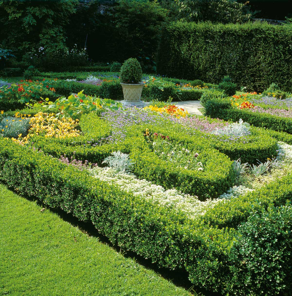 This Glasgow garden is packed with decorative topiaries and yellow and orange planting