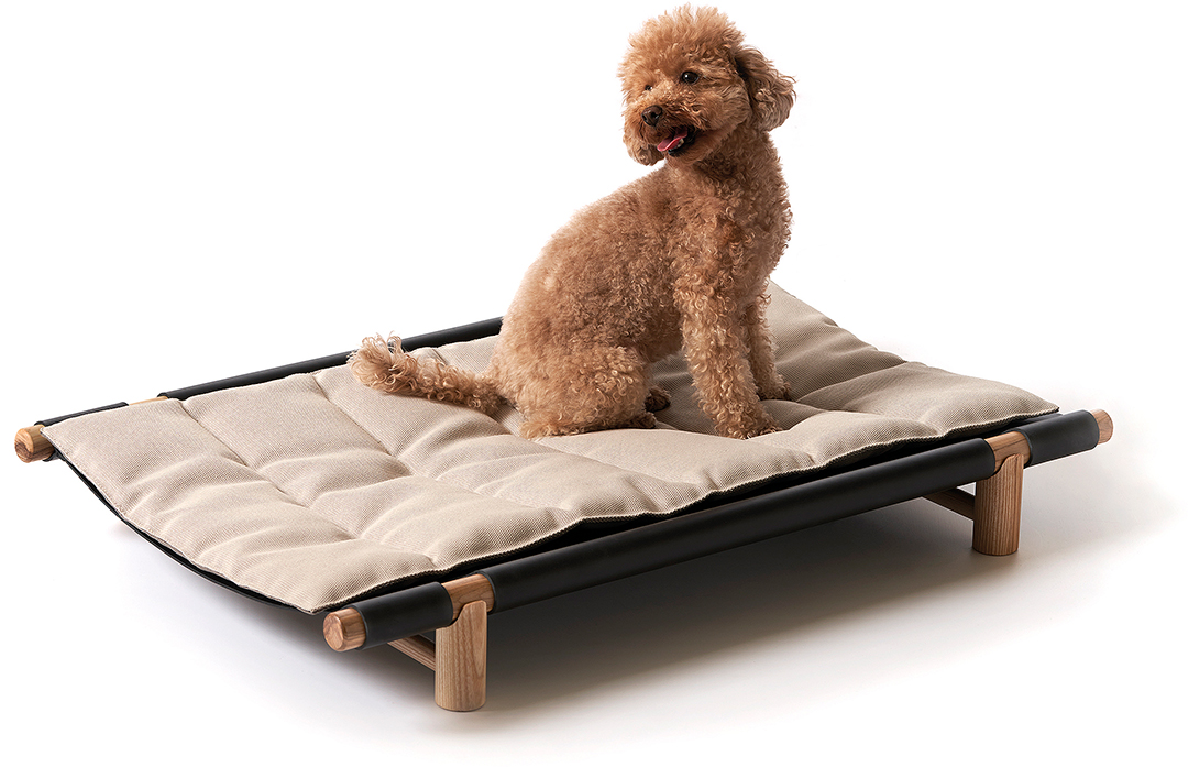 Curly dog on a travel bed