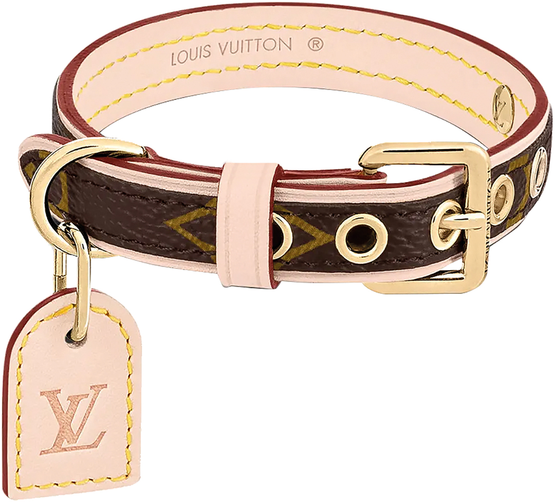 Fancy dog collar with brown, red, gold and light pink colour scheme