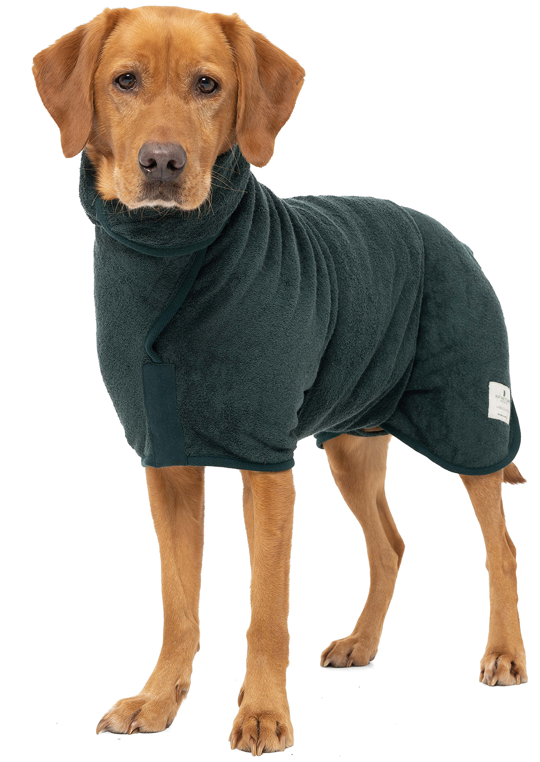 dog in dark green drying coat