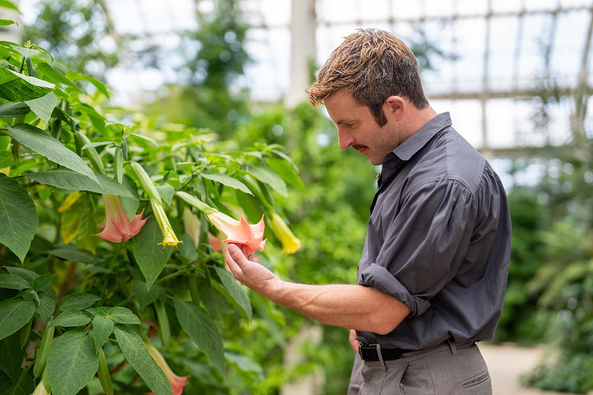 Patrick Featherstone examines a plant at Kew Gardens