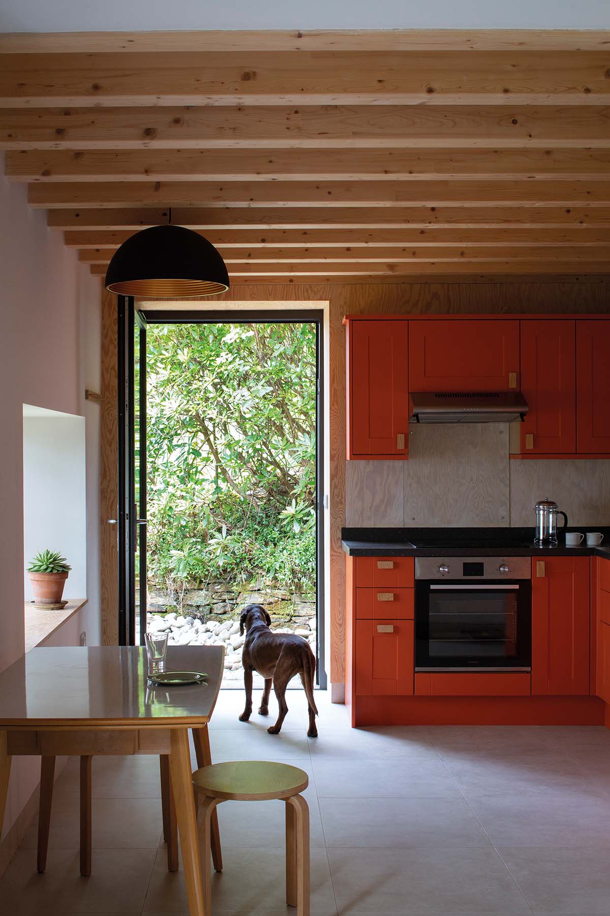 Modern kitchen with dog