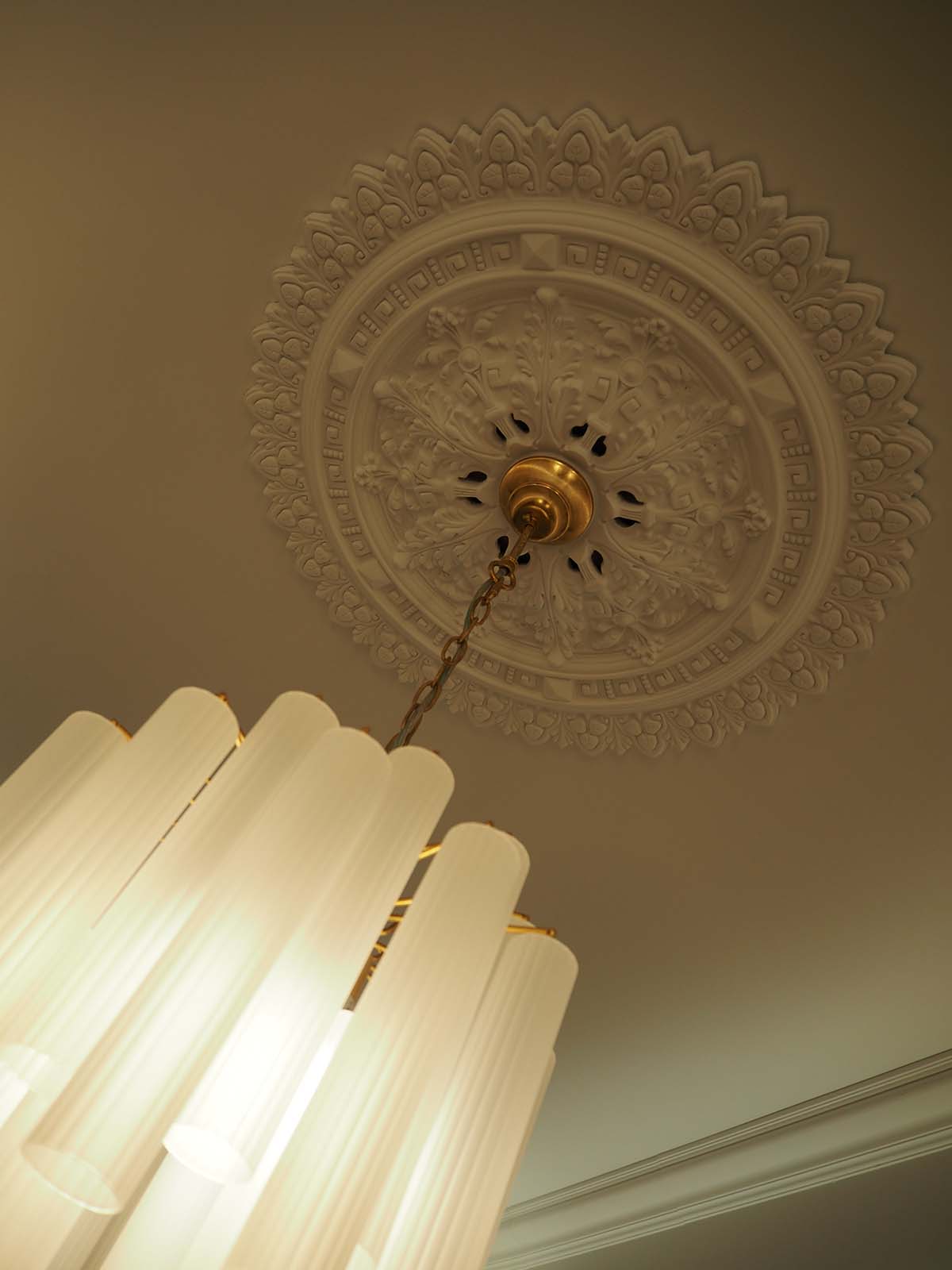A close up of a light fitting and a ceiling rose