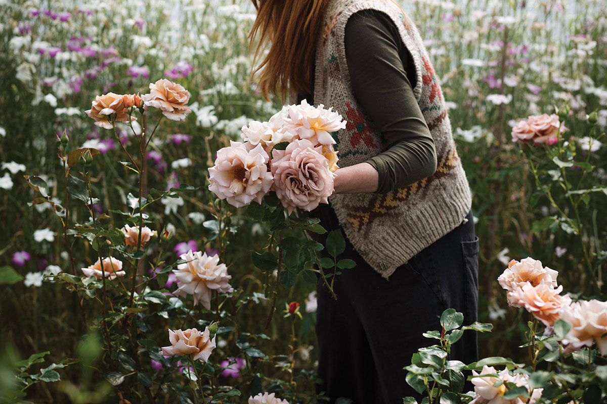 Fiona collecting flowers in the walled garden 