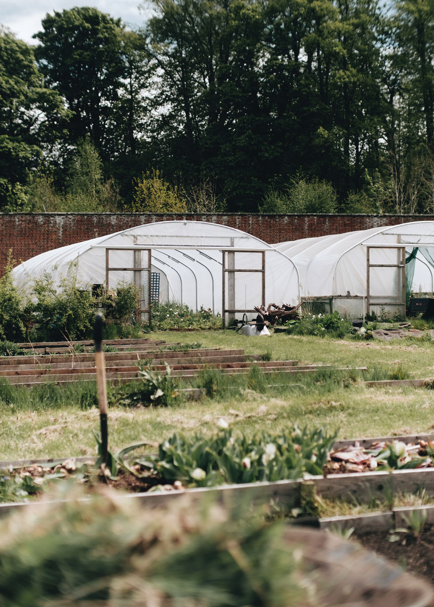 An exterior shot of the flowerbeds and two polytunnels within the Pyrus walled garden