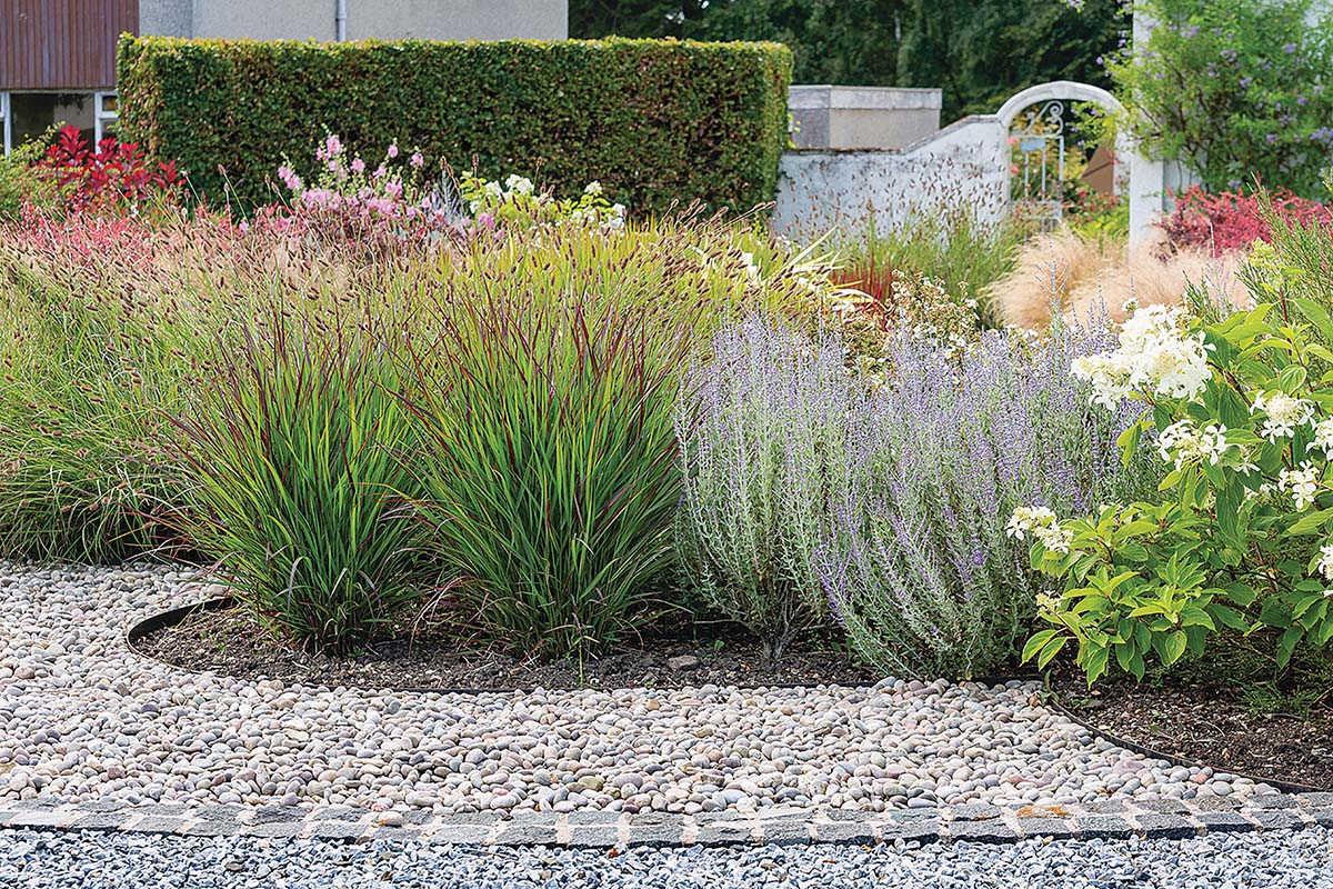 Both gardens are beautiful in their own way -we'd say that this one's beauty comes from the varying textured grasses.