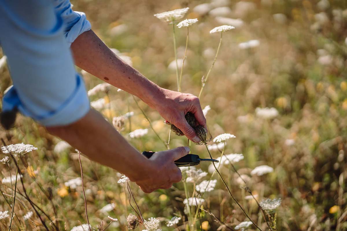 Meadow for Seilich skincare brand