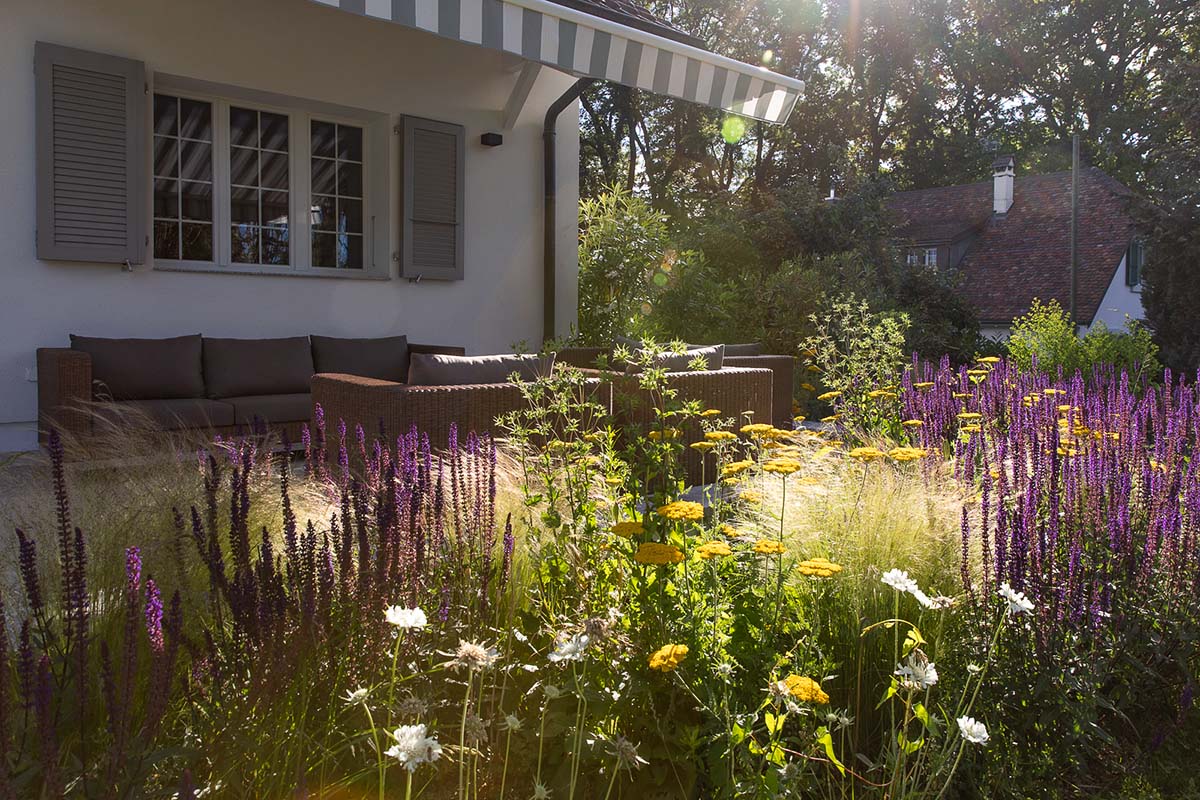 Semple Begg gardening work in late summer