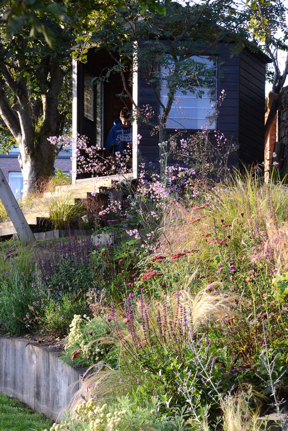 Semple Begg image of garden shed 