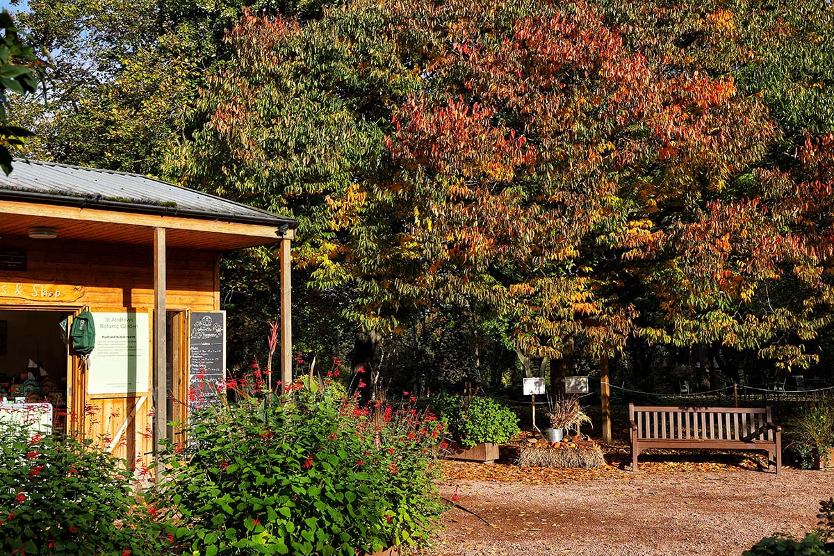 St Andrews Botanic Gardens