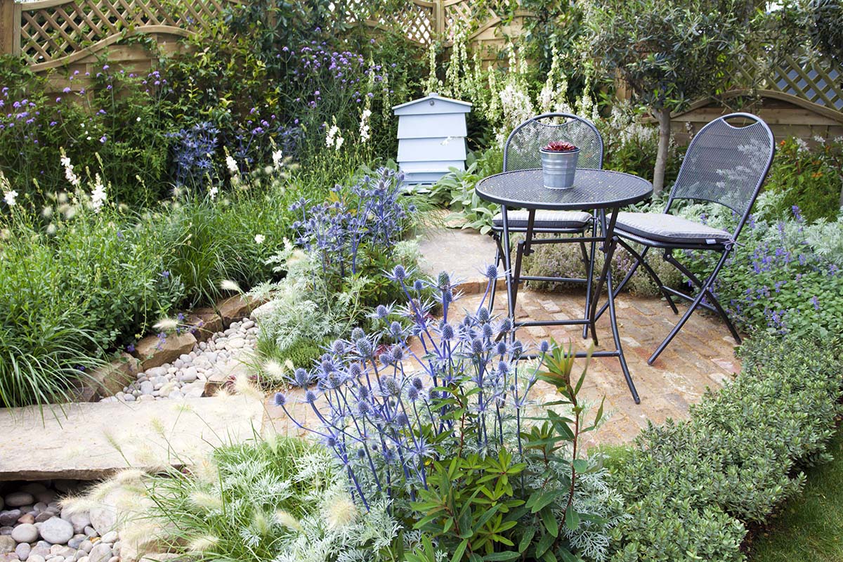 How to line patios with plants - DIY gardening guide