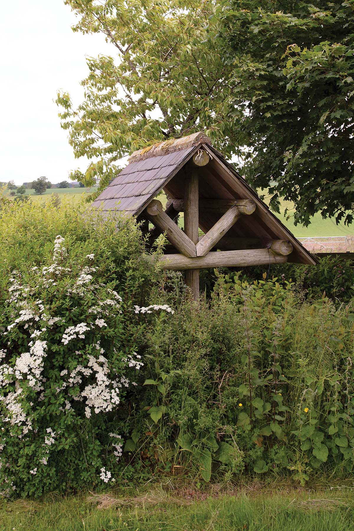 hidden wooden shed in the perthshire woodlands in perth