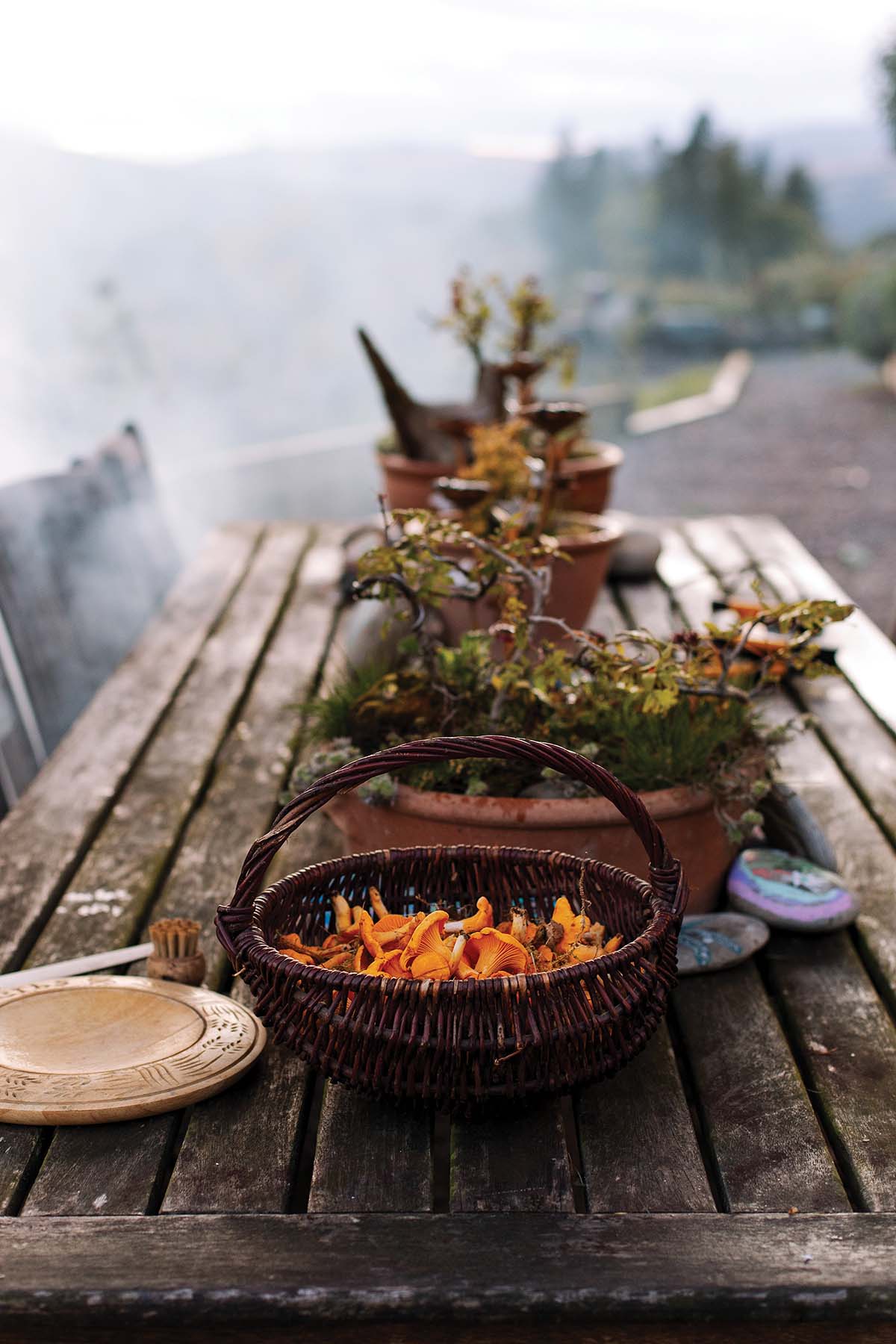 foraged meal eaten outside in the perthshire hills