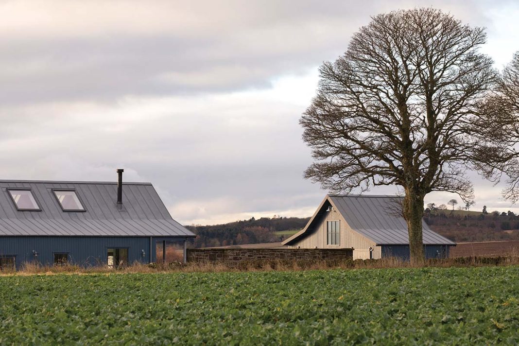 honeyberry house by building workshop scottish architects