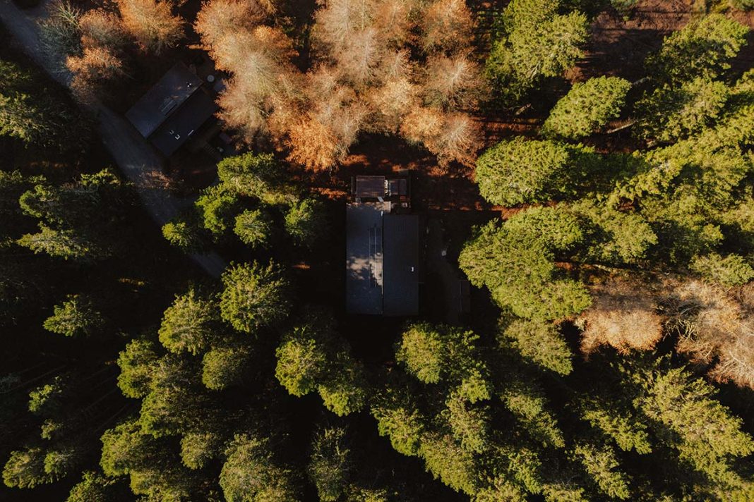 The Unfurl Collection cabins in the heart of Glentress Forest, Scotland