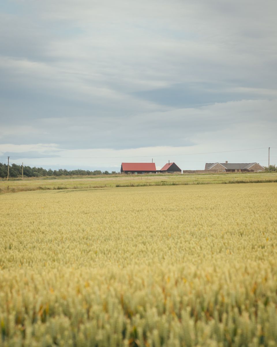 red roof house in the countryside behind fields in Angus scotland designed by loader monteith architects