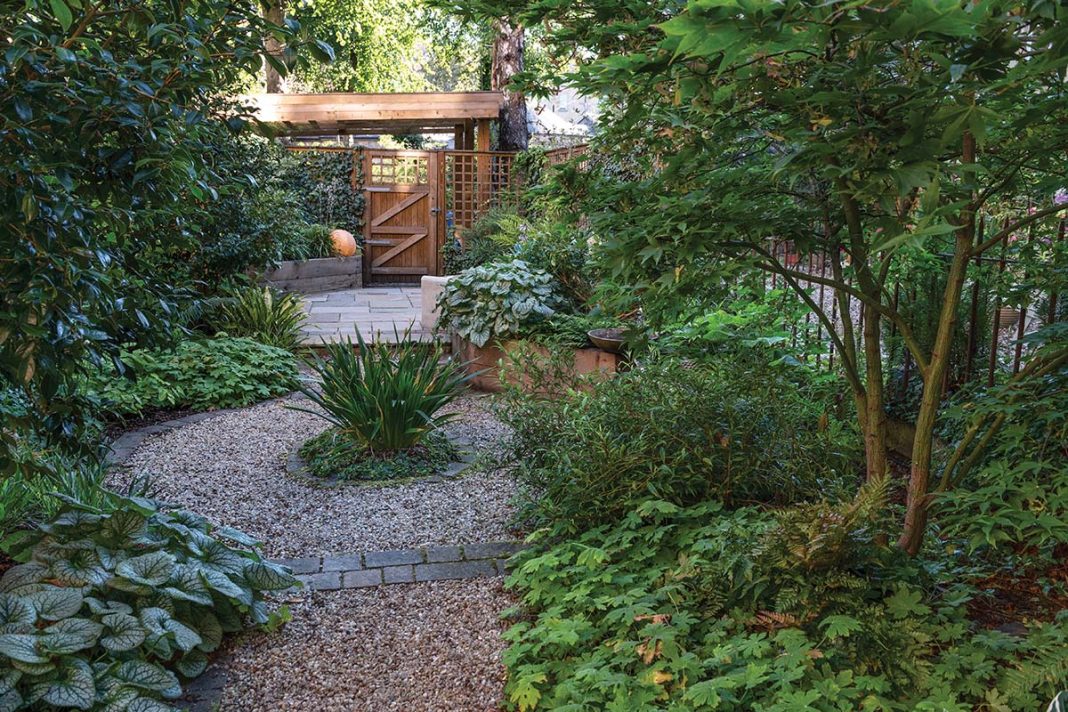 a garden in glasgow with meandering path and secluded bench