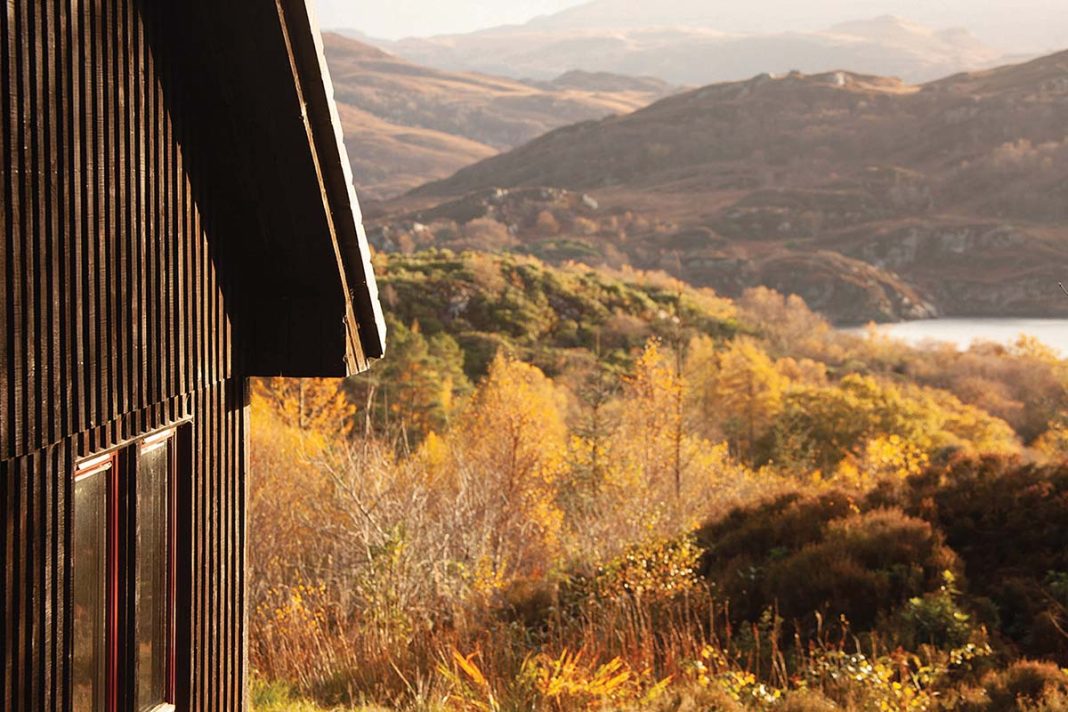 A view from Borradill holiday home on the west coast of scotland - astoundingly beautiful woodlands