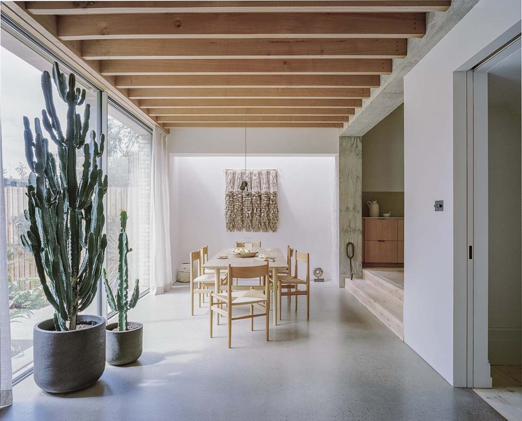 Bindloss Dawes Architects project in London: Lordship School House, photographed by Nick Dearden of Building Narratives. Dining area rear view, complete with cactus and garden-facing views