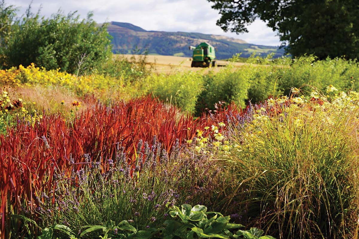 garden case study in kinross near loch leven