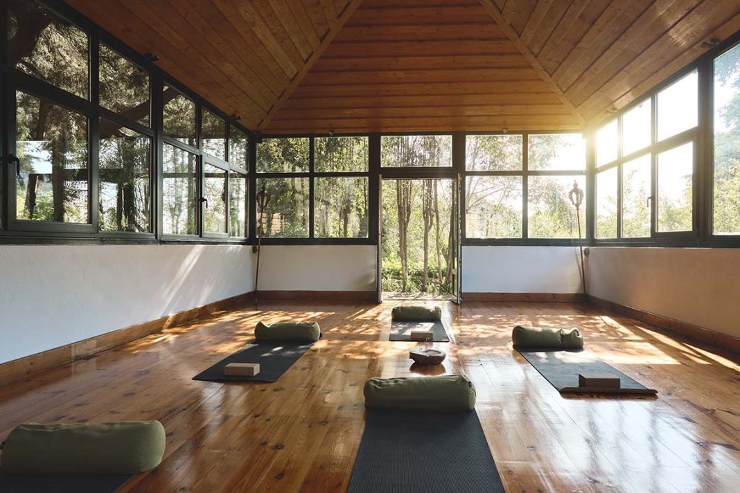 how to build a home gym that bring joy and wellbeing to your home - and actually makes you want to exercise