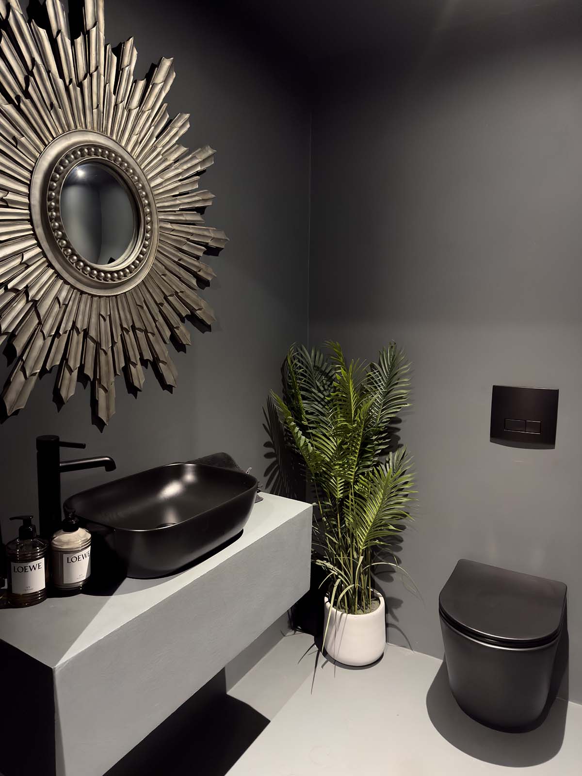 bathroom with black walls and green offsets in houseplants and sink
