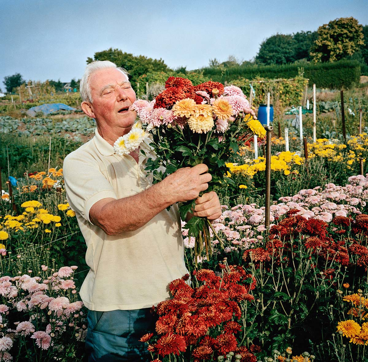 IMAGE | Andrew Buurman. Photographer Andrew Buurman's endearing photo study on the Uplands Allotments