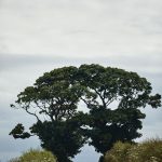 BanchoryFarm_Landscapes_HR_004