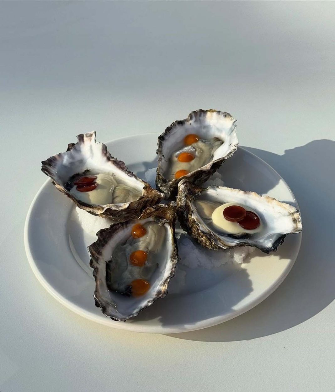 Sustainably caught oysters come from Cooley in Ireland, sweet and creamy, some of the best in the world! @thewestendfishco @cooleyoysters