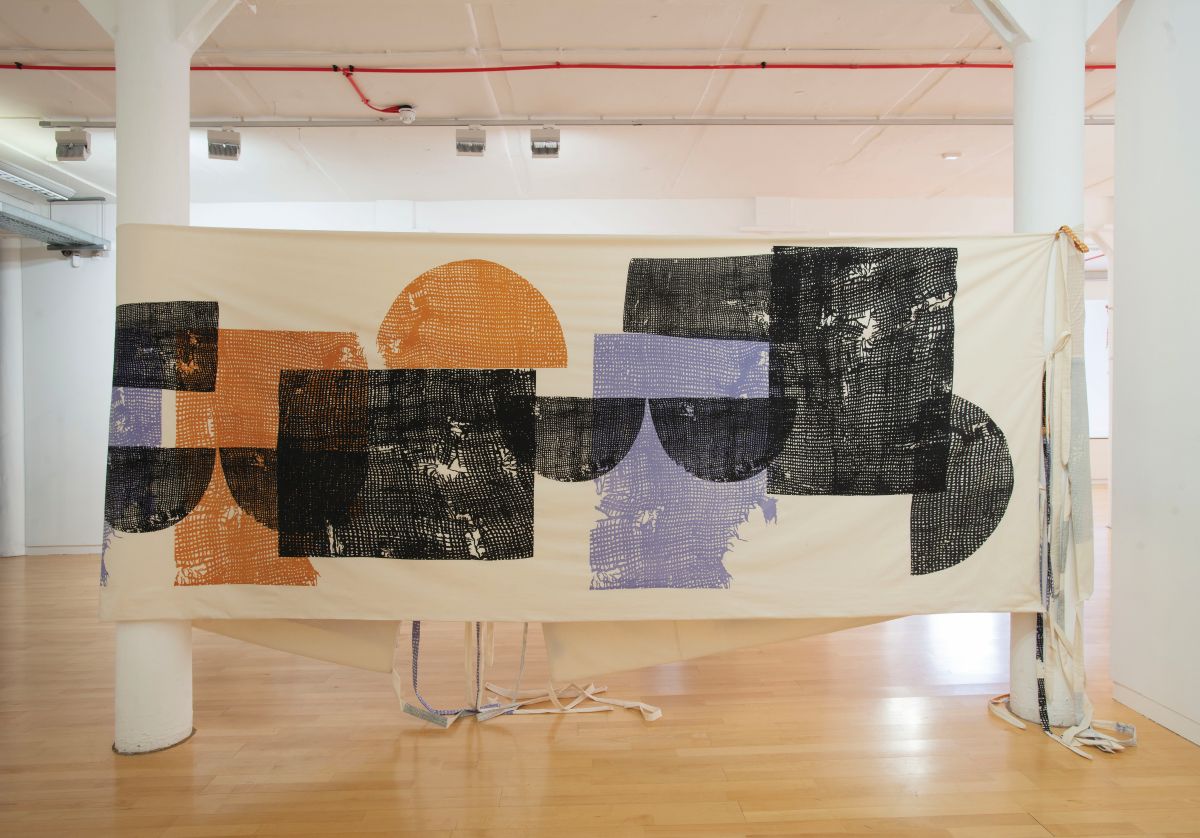 An installation view of Claire Barclay’s Kinskins, courtesy of Glasgow Print Studio - helps you learn the ropes for buying original art