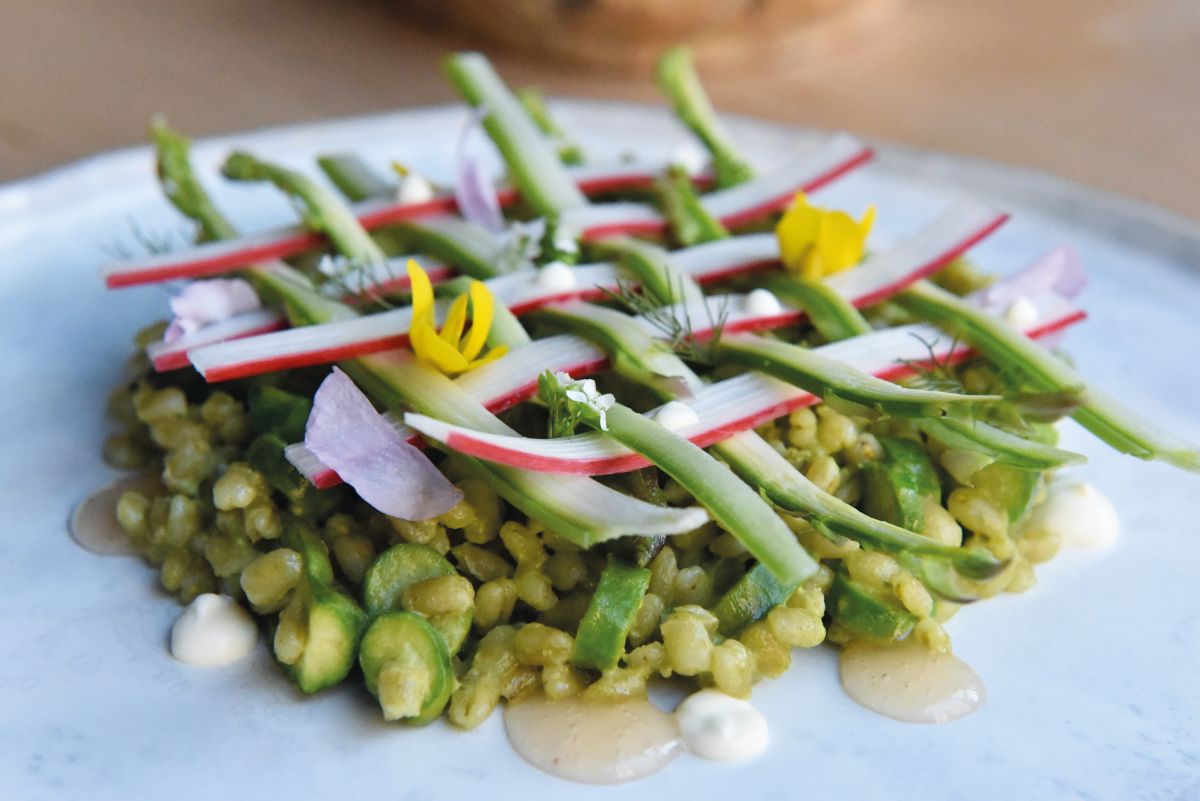 Asparagus, rhubarb lattice, barley, Blackmount cheese, crème fraiche, poached egg and asparagus mousse