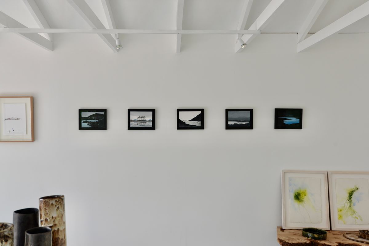 cold paradise art gallery